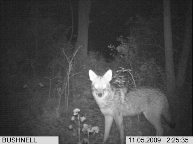 Full Size Image = 1228 K