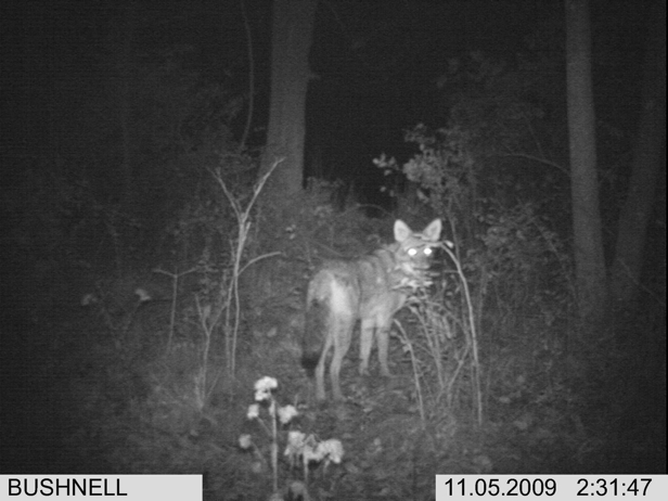 Full Size Image = 1225 K