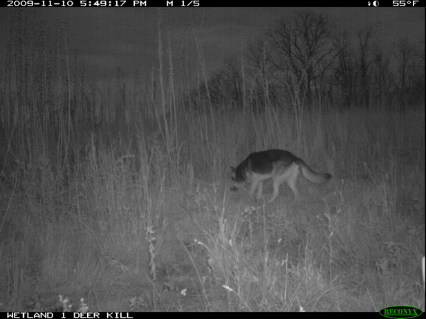 Full Size Image = 1045 K