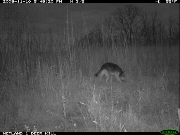 Full Size Image = 1046 K