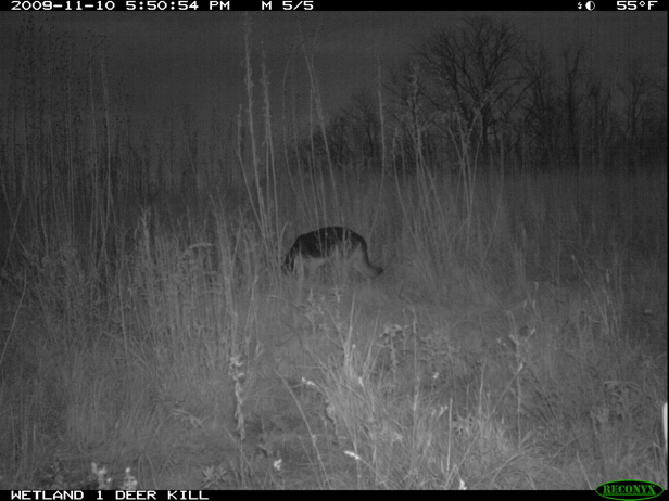 Full Size Image = 1049 K