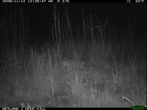 Full Size Image = 1012 K