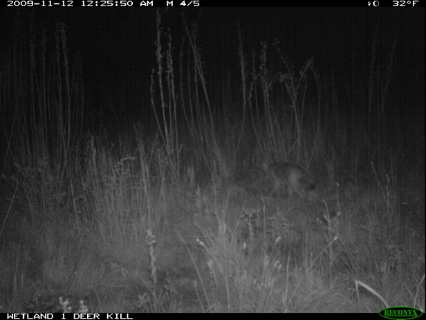 Full Size Image = 1012 K