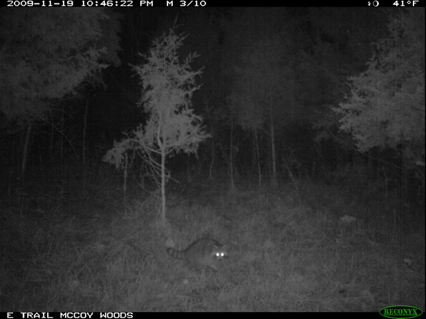 Full Size Image = 1044 K