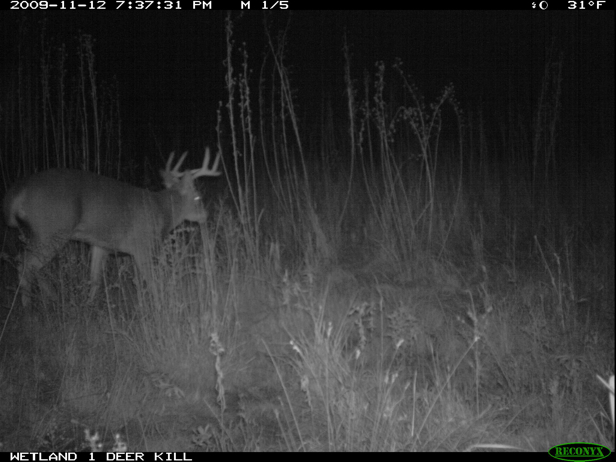 Full Size Image = 1012 K