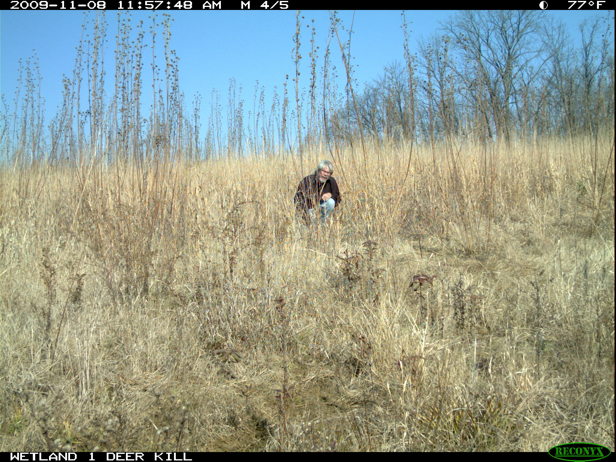 Full Size Image = 3126 K