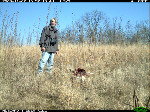 Full Size Image = 3100 K