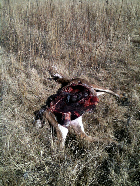 Full Size Image = 3584 K