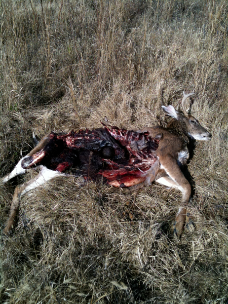 Full Size Image = 4012 K