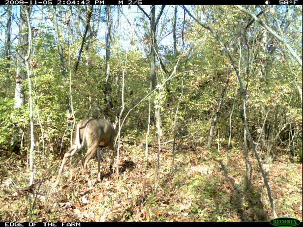 Full Size Image = 4385 K