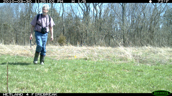 Full Size Image = 2514 K