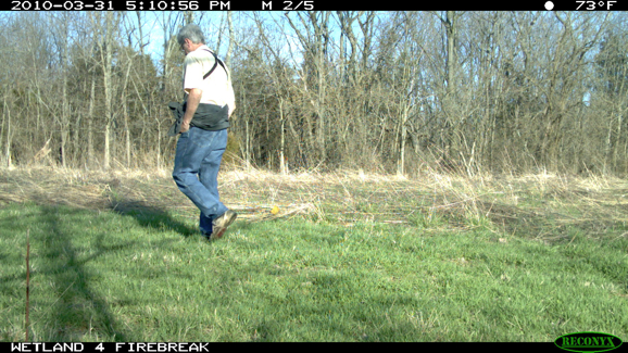 Full Size Image = 2223 K