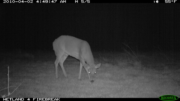 Full Size Image = 633 K