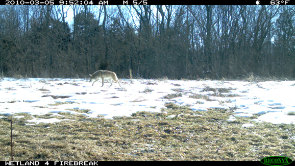 Full Size Image = 2260 K