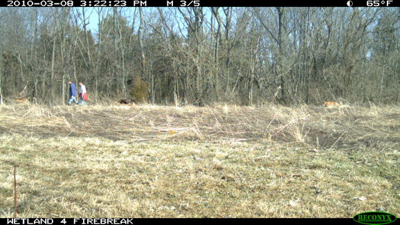 Full Size Image = 2513 K