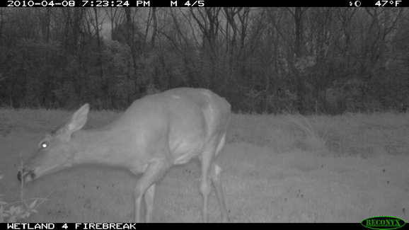 Full Size Image = 615 K