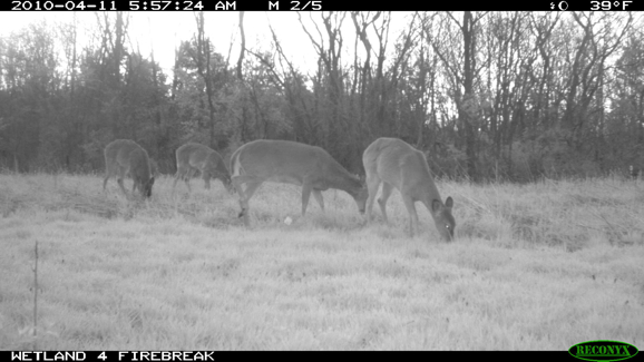 Full Size Image = 665 K