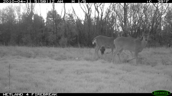 Full Size Image = 657 K