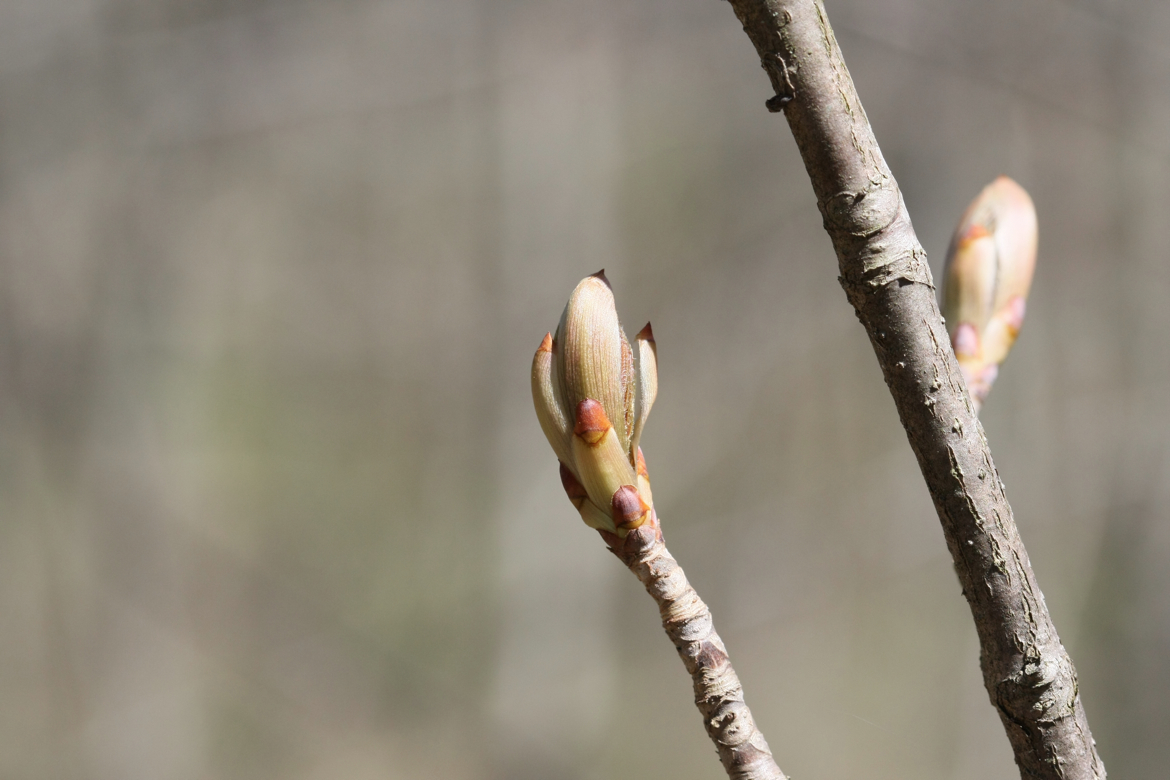 Full Size Image = 4995 K