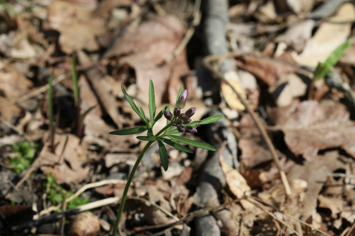 Full Size Image = 5793 K