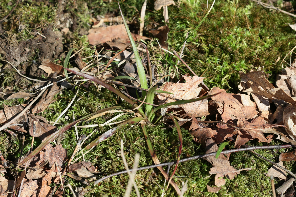 Full Size Image = 9790 K