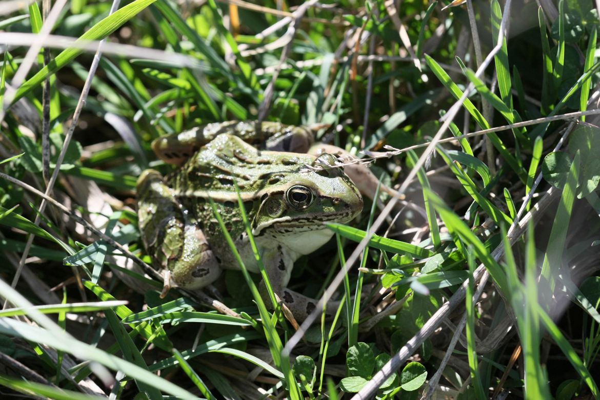 Full Size Image = 7122 K