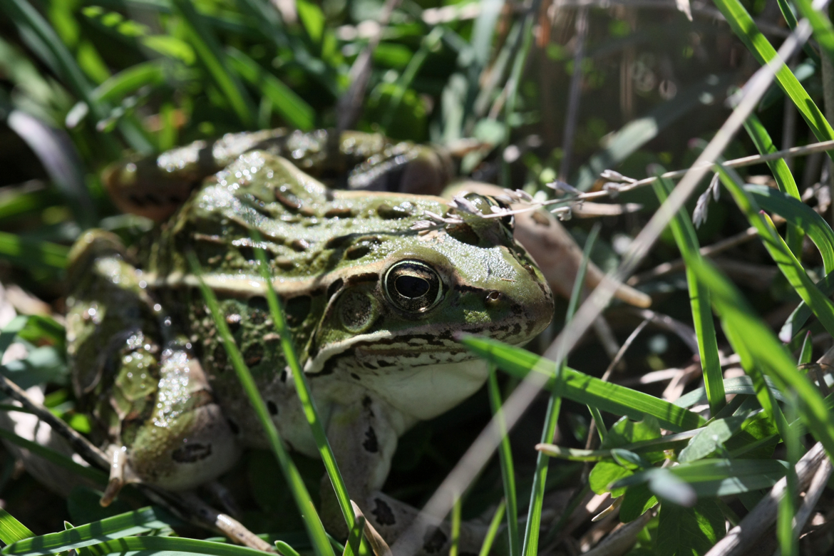 Full Size Image = 6337 K