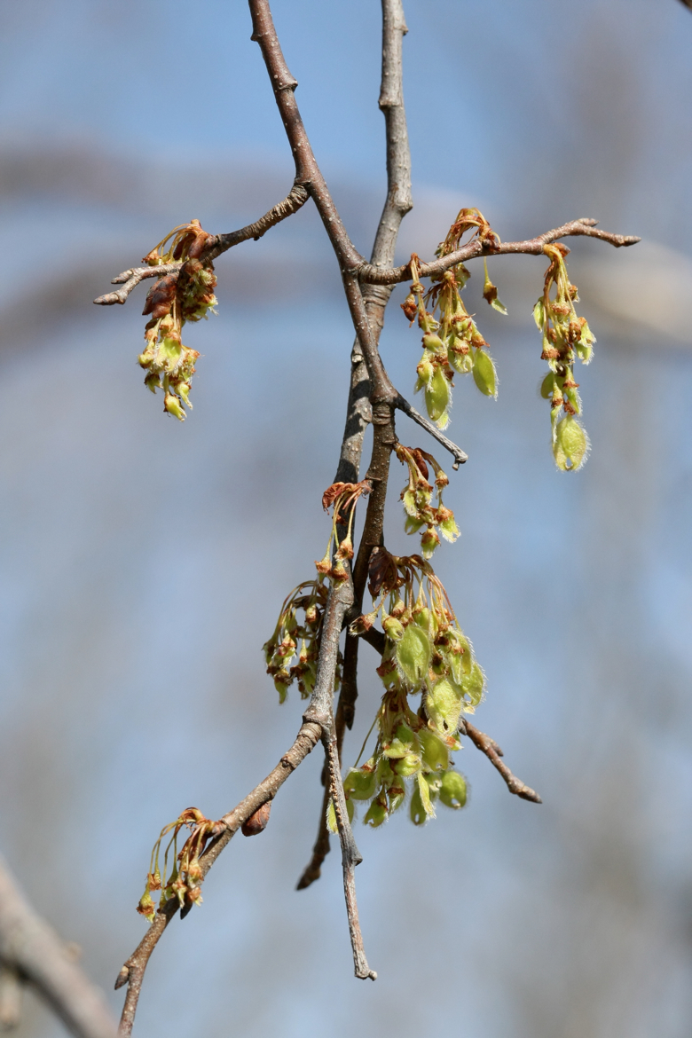 Full Size Image = 5041 K