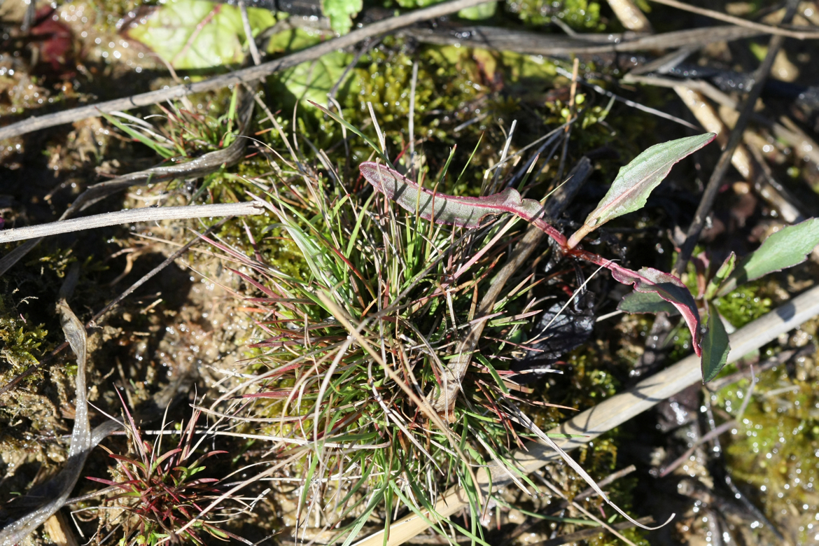 Full Size Image = 8206 K