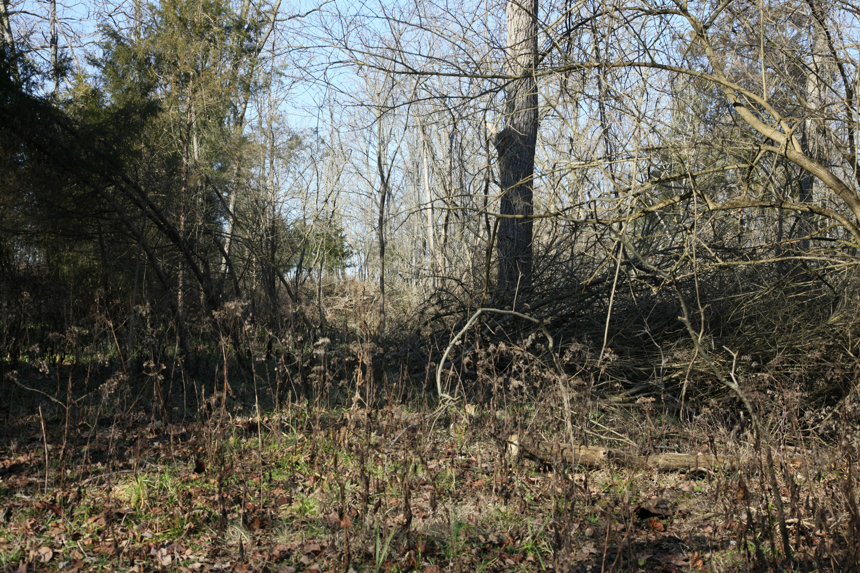 Full Size Image = 23120 K