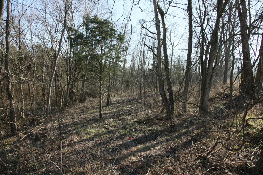 Full Size Image = 8080 K