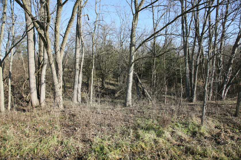 Full Size Image = 8800 K