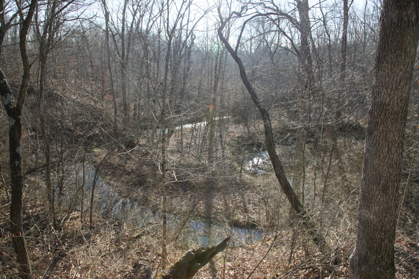 Full Size Image = 7429 K