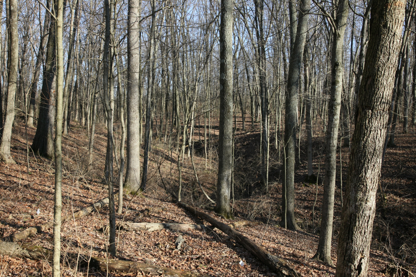 Full Size Image = 7949 K