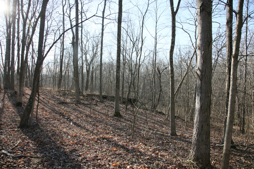 Full Size Image = 8192 K