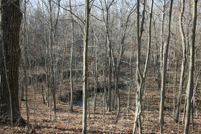 Full Size Image = 8085 K