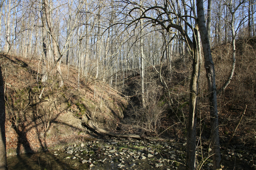 Full Size Image = 7898 K