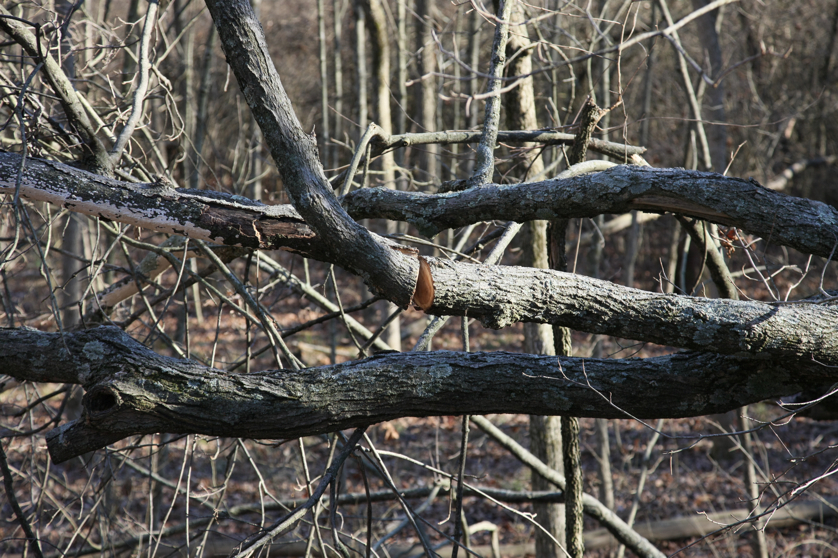 Full Size Image = 5006 K