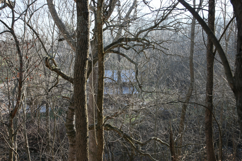 Full Size Image = 7408 K