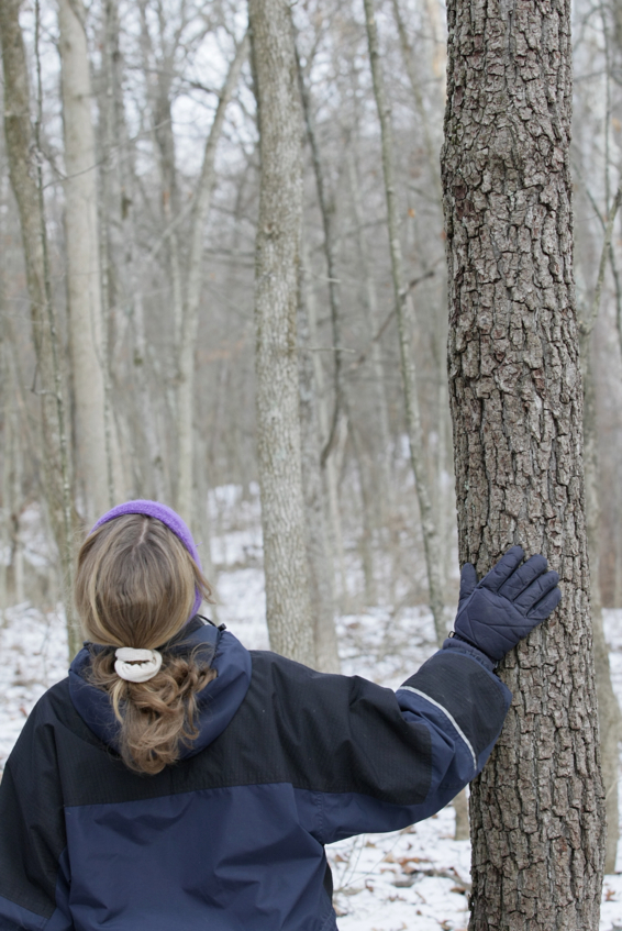 Full Size Image = 1513 K