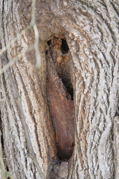 Full Size Image = 1266 K