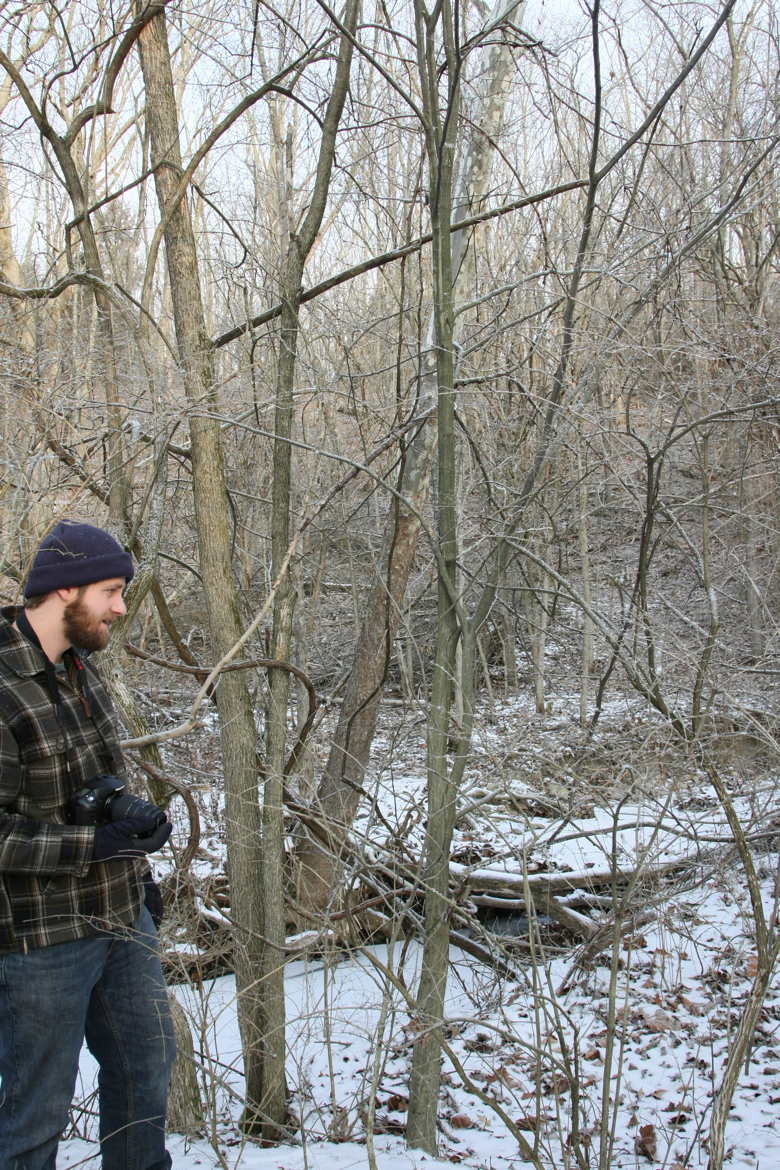 Full Size Image = 8350 K