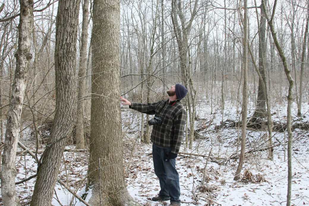 Full Size Image = 6319 K