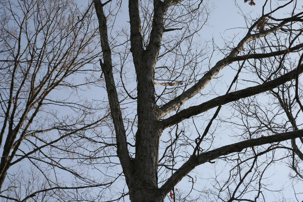 Full Size Image = 5087 K