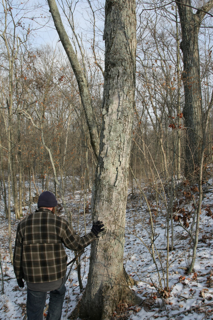 Full Size Image = 6283 K