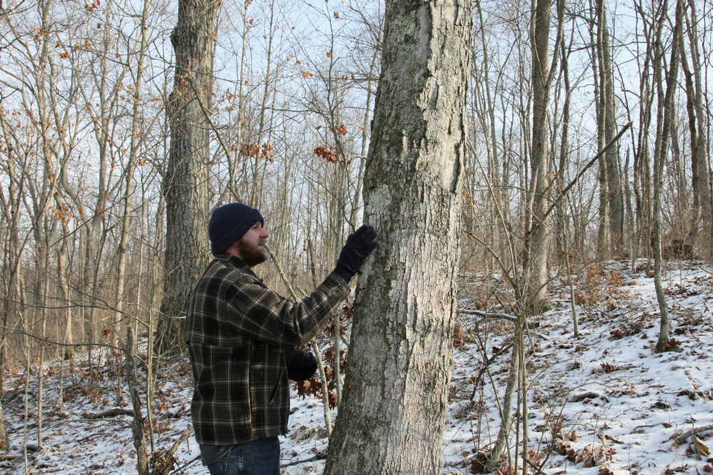 Full Size Image = 6677 K