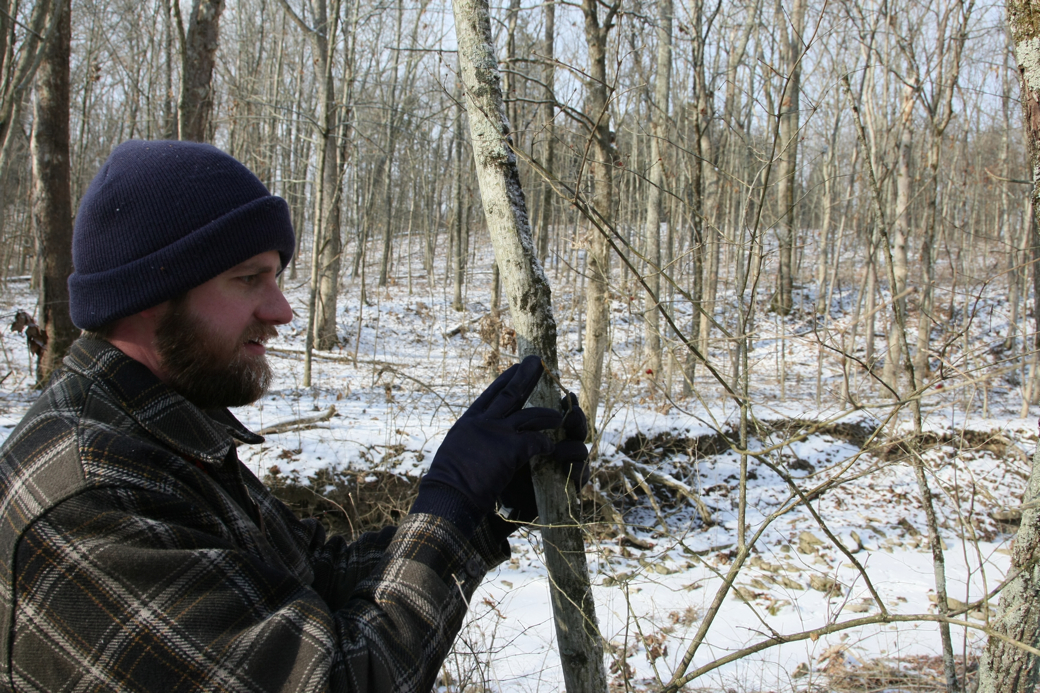 Full Size Image = 4611 K