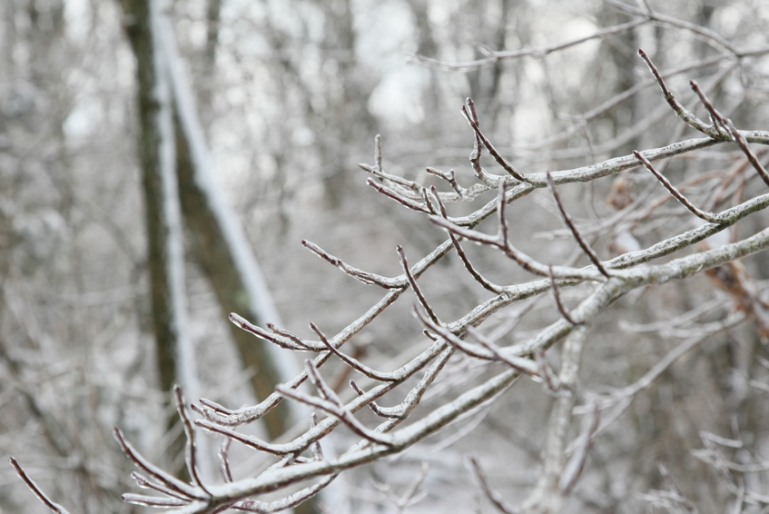 Full Size Image = 2014 K